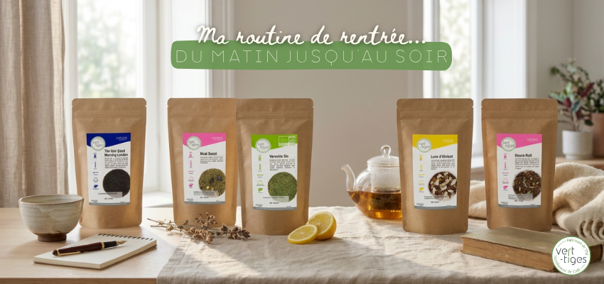 ROUTINE DE RENTREE